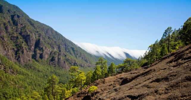 Parque Nacional Caldera Taburiente