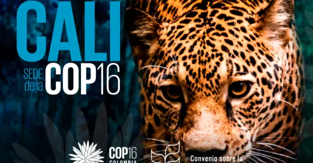 COP16 Biodiversidad Gobierno España