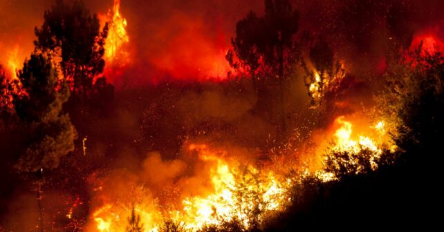 Incendios forestales Nactiva Asamblea General FIRE-RES