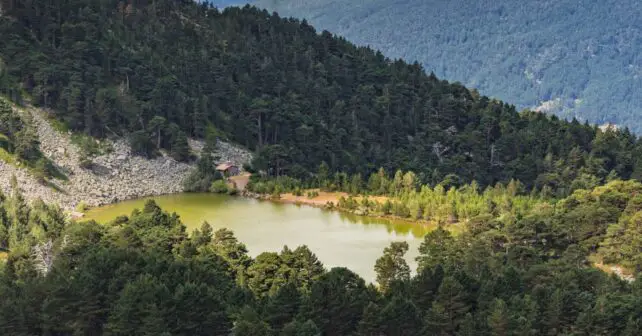 bosques cambio climático Soria