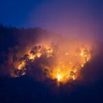 L'Andalousie prévient les incendies de forêt dans ses forêts publiques