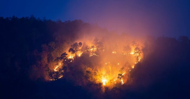 Andalucía incendios forestales montes públicos