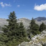 La Commission promeut la marque « Parque Natural de Andalucía »