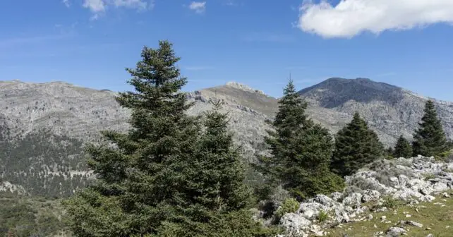 marca Parque Natural Andalucía