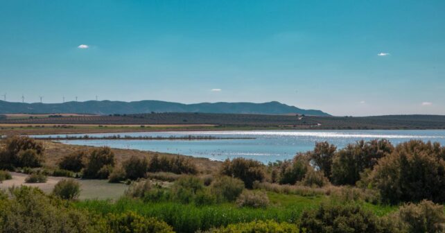 Lagunas Sur Córdoba conservación