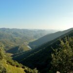 Le Jardin Botanique du Parc Naturel de la Sierra Morena augmente les espèces cataloguées de 10%