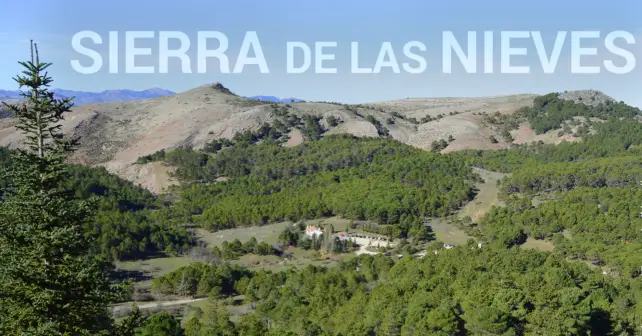 Parque Sierra Nieves Director