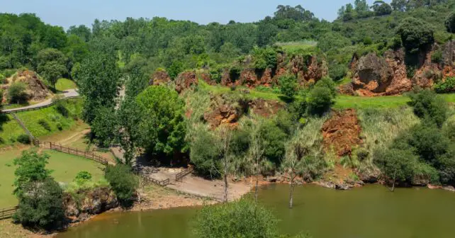 Parque Naturaleza Cabárceno director