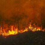 Projet ISAPREF : système de vision intelligent pour prévenir les incendies de forêt