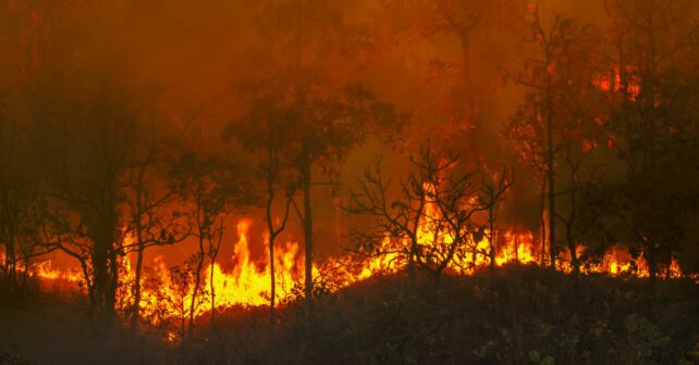 ISAPREF incendios forestales