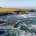 L’administration Biden-Harris crée un nouveau sanctuaire marin national au large de la côte californienne