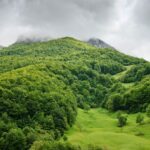 Asturies, nouveau plan annuel contre les incendies de forêt