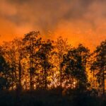 Castilla y León, bilan de la campagne de lutte contre les incendies de forêt 2024