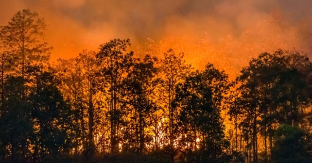 Castilla y León incendios forestales 2024