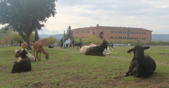 Escuela Pastores Reactiva Brañosera