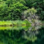 Feu vert à la réglementation visant à protéger la « Zone naturelle d'intérêt particulier de Pozo Tremeo » (Cantabrie)