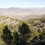 Fonds pour la conservation des forêts de la Sierra des Filabres d'Almeria