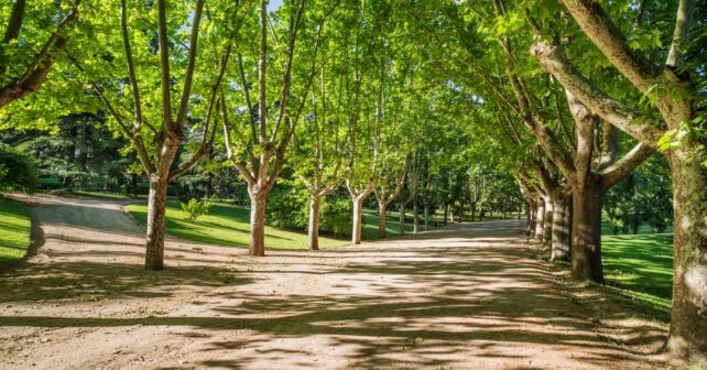 Galicia infraestructura verde naturaleza biodiversidad