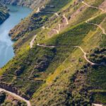 La Fédération Écologique Galicienne participera au « Forum Côtier »