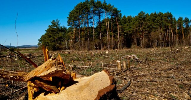 La Rioja Comité Regulación Deforestación CE