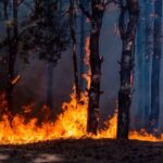 Le Plan de lutte contre les incendies de forêt de Cantabrie sera doté de plus de 8,4 millions en 2025