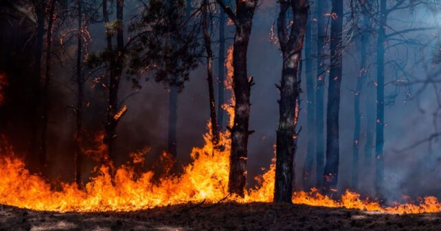 Plan Incendios Forestales Cantabria