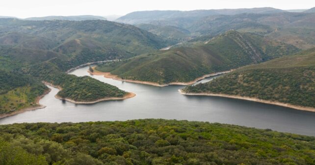 Junta Extremadura gestión sostenible montes