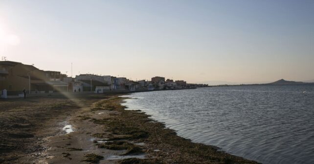 Mar Menor desnitrificar agua