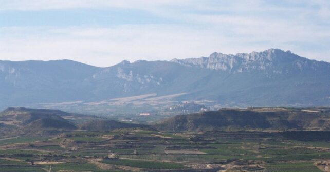 Recuperación ambiental Monte Sierra