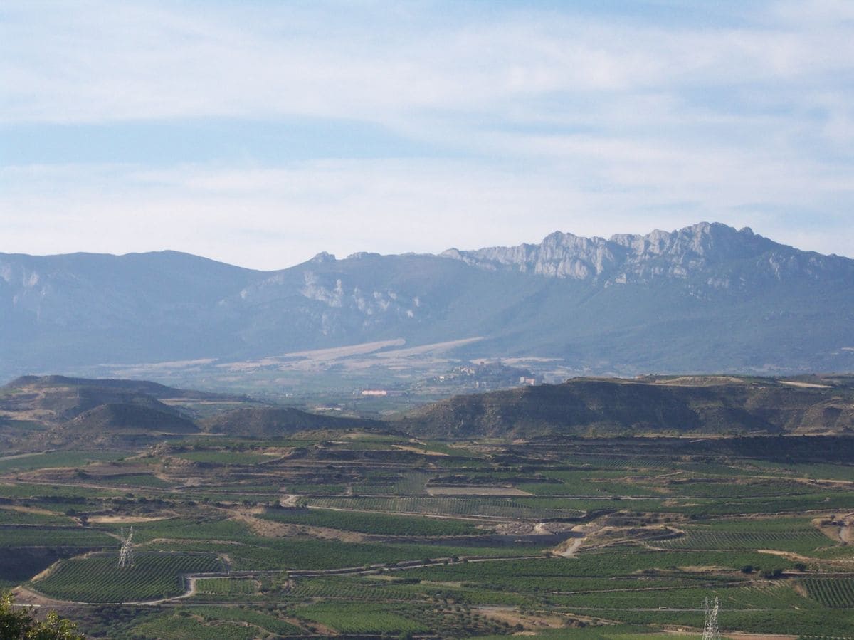 Environmental recovery of Monte de la Sierra (Cantabria)