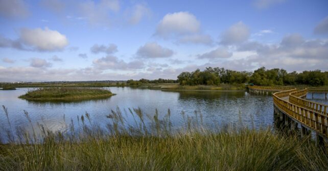 Subvenciones pueblos área Cabañeros Las Tablas de Daimiel