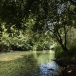 Travaux de conservation d'un tronçon du fleuve Méro, à Cambre (Galice)