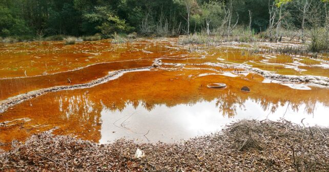 3 problemas medio ambiente en España