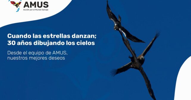 AMUS conservación defensa fauna salvaje