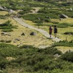 Actions dans le Parc National de la Sierra de Guadarrama d'ici 2025