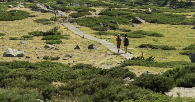 Actuaciones Parque Nacional de la Sierra de Guadarrama