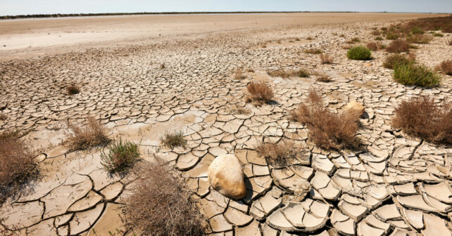 COP16 Riad Arabia Saudita Desertificación