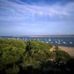 Dehesa del Estero et Montes de Moguer, les dunes d'Odiel, Las Carboneras Marisma et l'estuaire de la rivière Piedras, déclarés zones spéciales de conservation (ZEC)