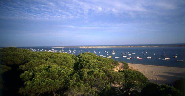 Dehesa Estero Montes Moguer Dunas Odiel Marisma Carboneras Estuario Río Piedras zonas especiales conservación zec