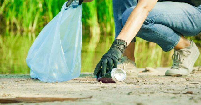 Día Internacional Voluntarios 2024 organizaciones ecologistas