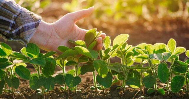 Gestión forestal agricultura regenerativa inundaciones