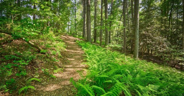 Galicia senderos azules rutas caminos ecoturista