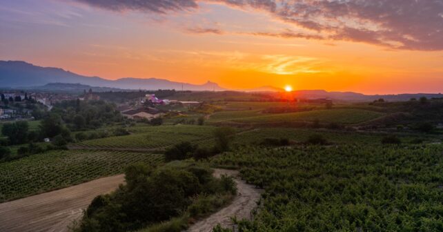 La Rioja Cátedra Paisaje Biodiversidad Recursos Hídricos UR