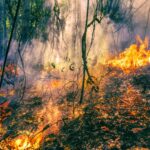 La Xunta de Galicia renforce sa collaboration avec les municipalités de Lobios et O Carballiño contre les incendies de forêt