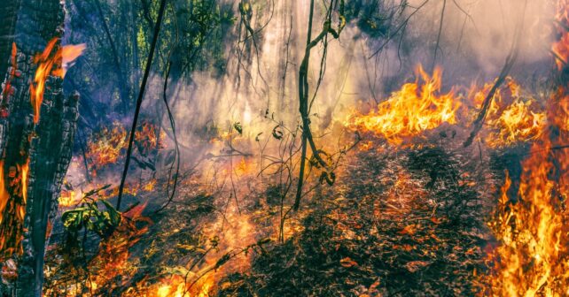 Xunta Galicia Lobios O Carballiño incendios forestales