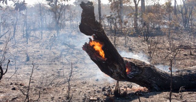 incendios forestales Galicia 2024