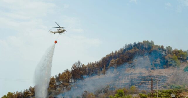 Entidades andaluzas incendios forestales