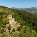 Mezquita, Mondariz et Pontevedra incorporent 3 spécimens et cinq formations de Vilagarcía de Arousa dans le « Catalogue des arbres singuliers de Galice »