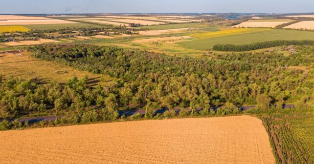 Paraguay soja deforestación importada UE