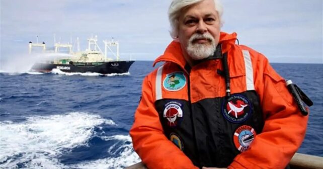 Paul Watson ballenas Japón